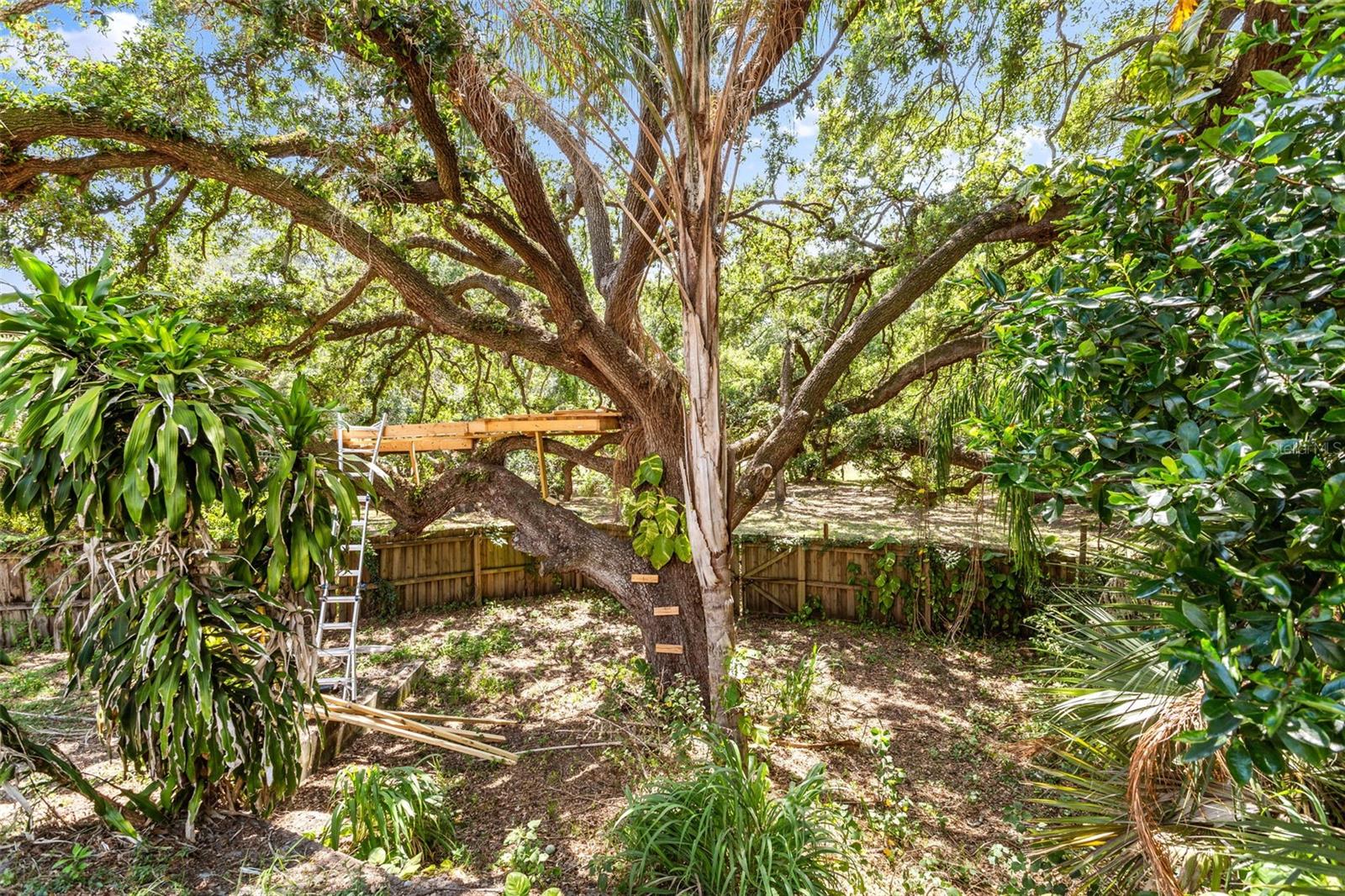 HIDDEN GROVE COURT - Residential Lease
