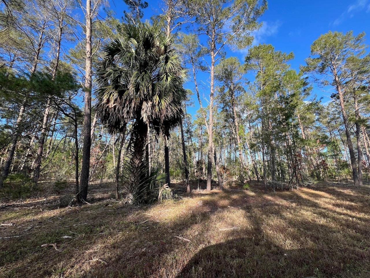 MORGAN FARMS SUB - Land