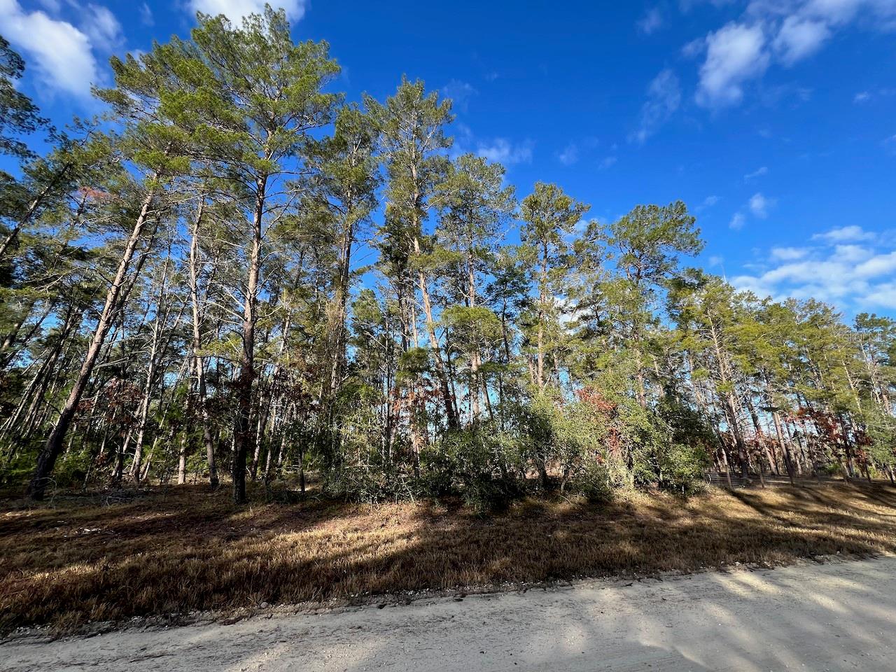 MORGAN FARMS SUB - Land