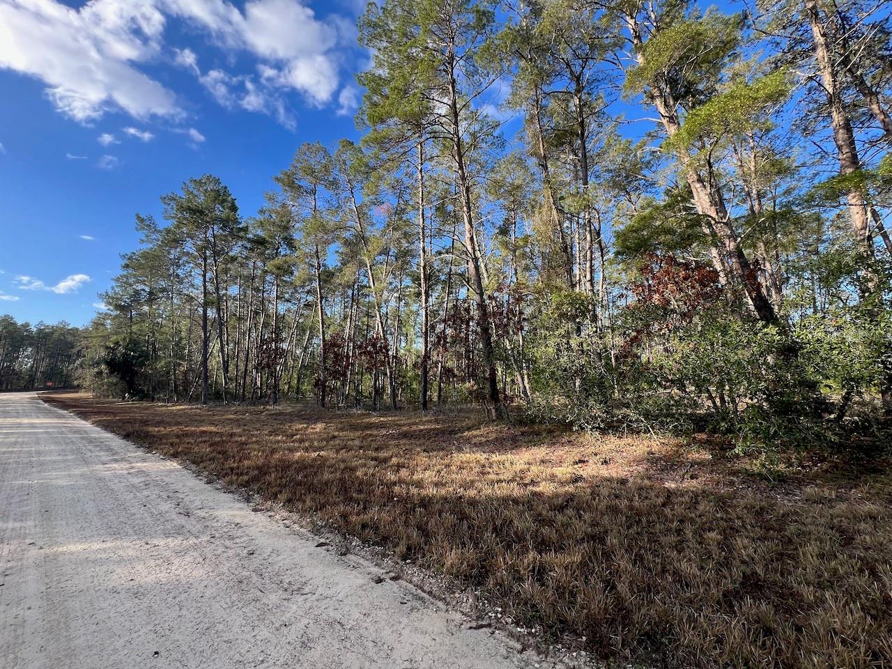 MORGAN FARMS SUB - Land