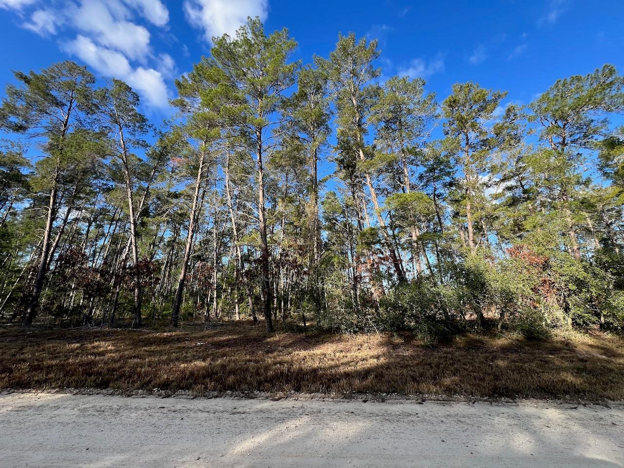 MORGAN FARMS SUB - Land