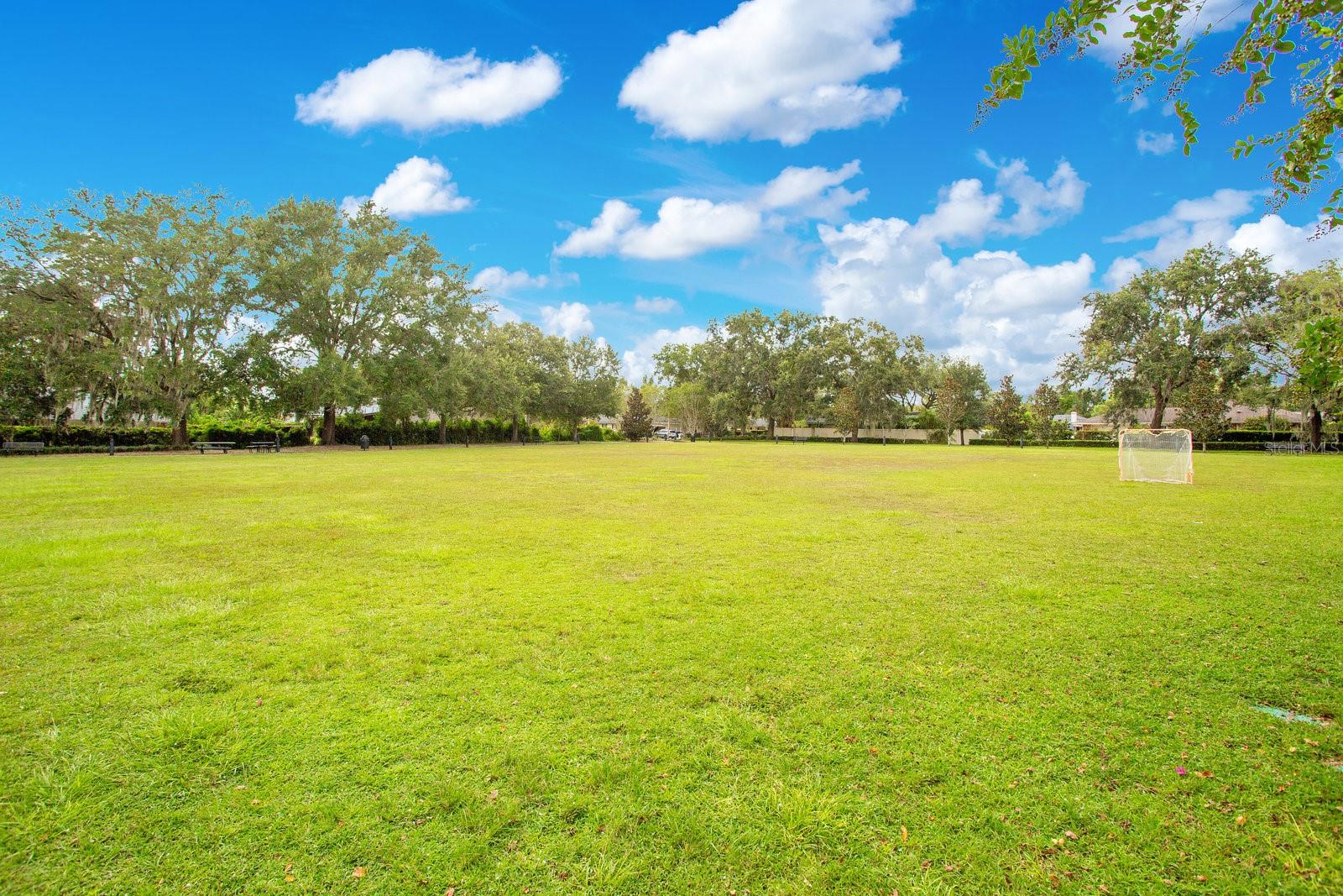 ADAMS GROVE - Land