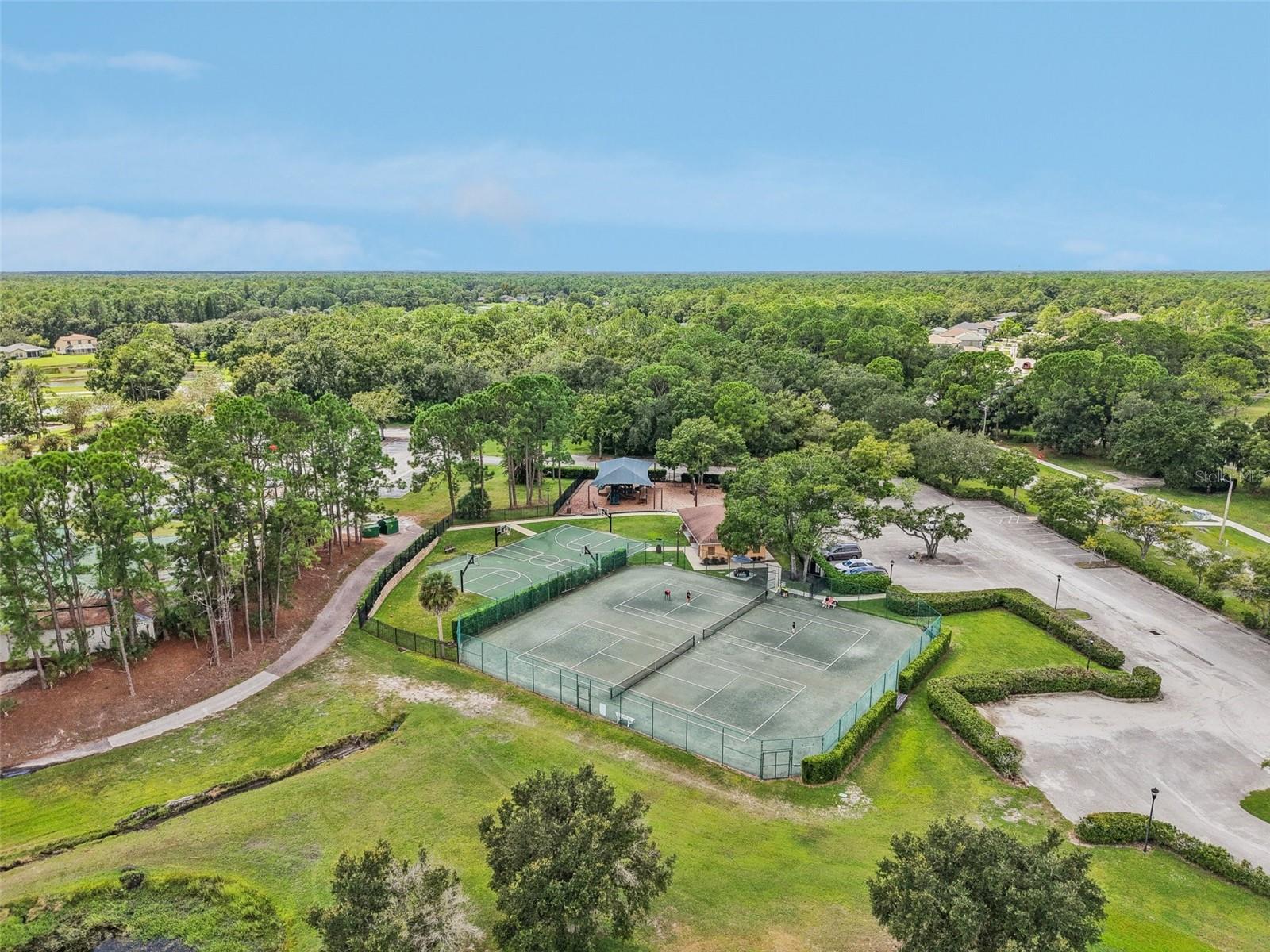 NINE EAGLES UNIT ONE SEC I - Residential