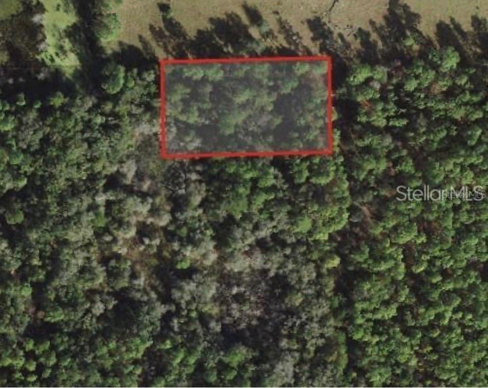 Discover the perfect spot for your dream home on this rare 1.13-acre lot, nestled in the serene Deer Park area of Crystal River! Zoned for mobile, modular, and site-built homes, this property offers endless possibilities. Enjoy the best of Florida living with easy access to Kings Bay, Pete’s Pier, shopping, dining, and outdoor adventures like fishing, kayaking, scalloping, and more. Though located on a private, undeveloped road (not accessible by car), this lot offers unmatched potential for investment and those seeking seclusion with convenience nearby. Don't miss this incredible opportunity—cash buyers only!