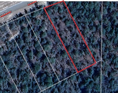 Lot 25 GOODMAN HILL ROAD CHIPLEY FL 32428