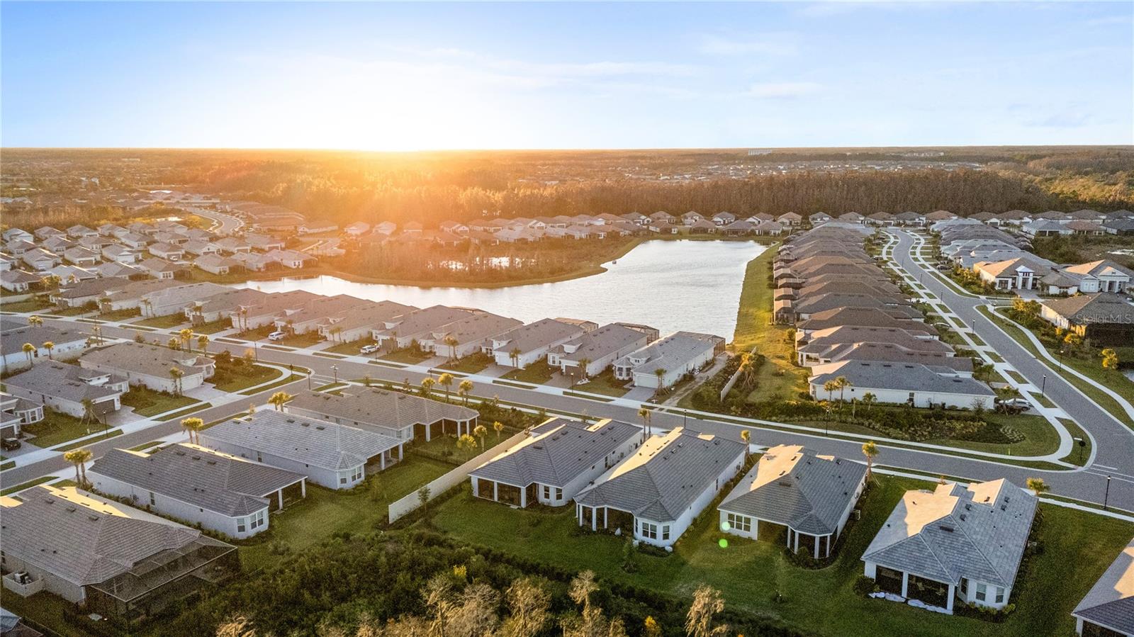 ESPLANADE AT WIREGRASS RANCH - Residential