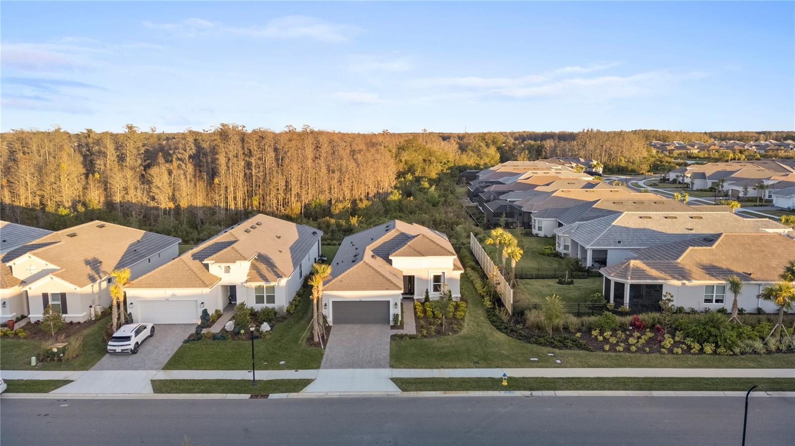 ESPLANADE AT WIREGRASS RANCH - Residential