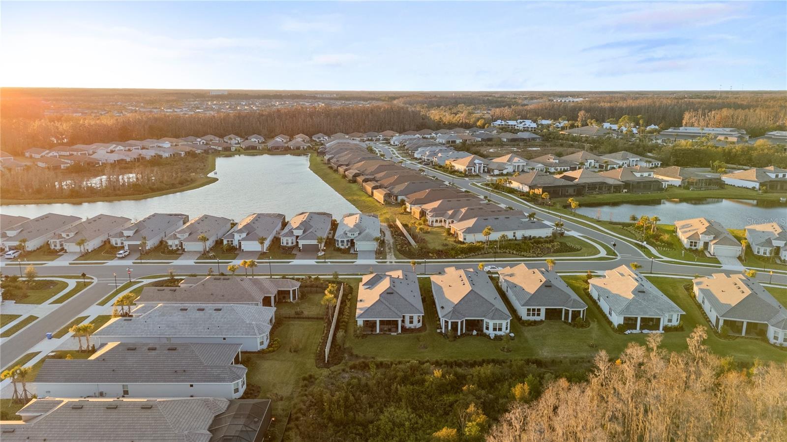ESPLANADE AT WIREGRASS RANCH - Residential