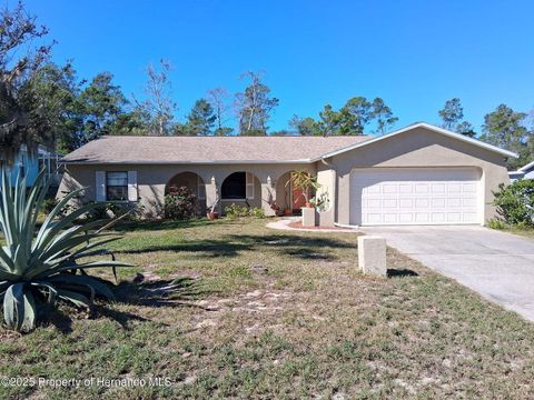 Photo of 6233 Hancock Avenue, Spring Hill, FL 34608 (MLS # W7880459)
