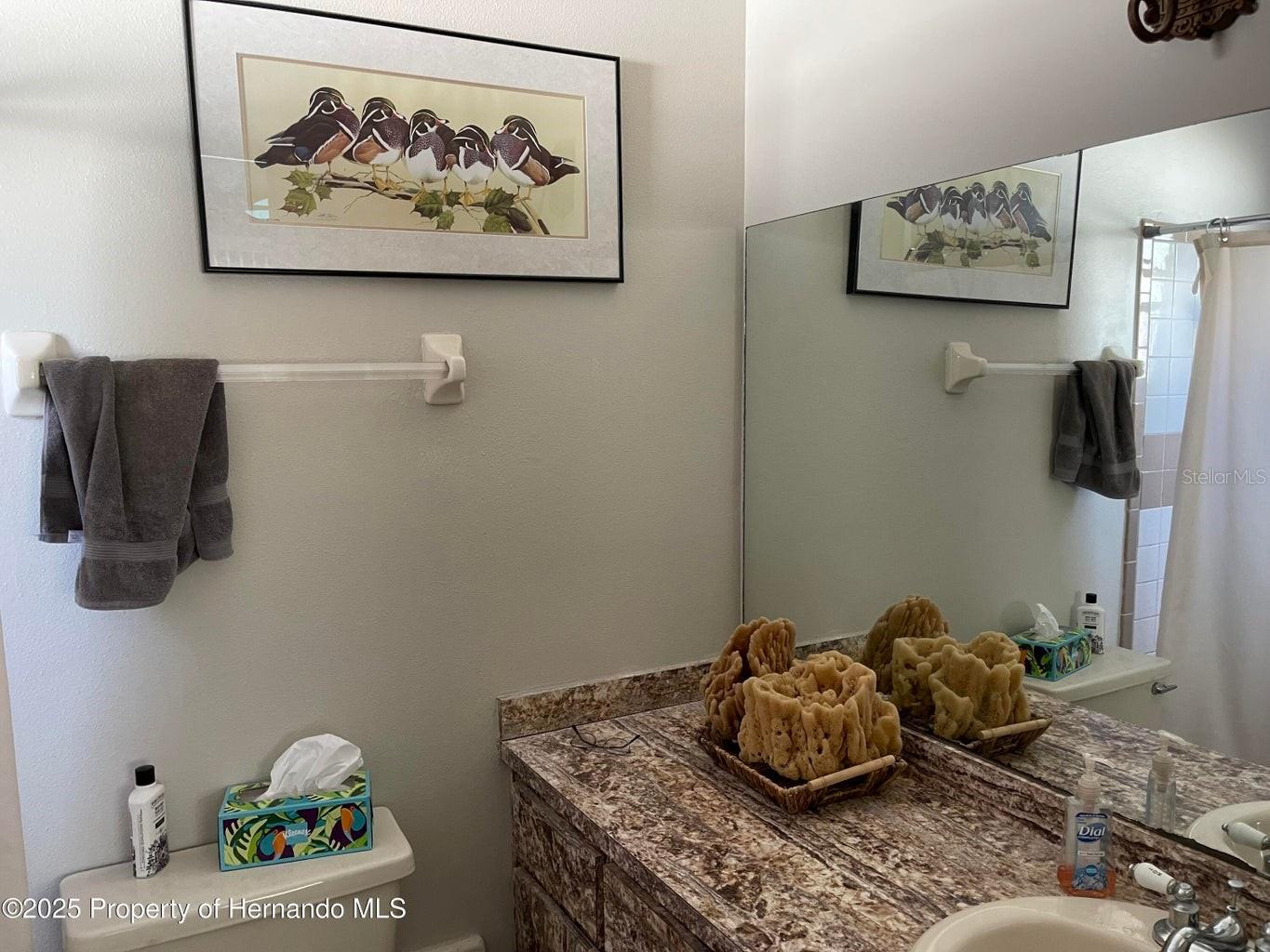 SPRING HILL - Residential