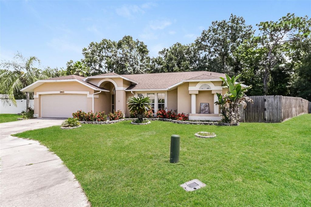 Photo of 8461 Red Roe Drive, New Port Richey, FL 34653 (MLS # O6354368)