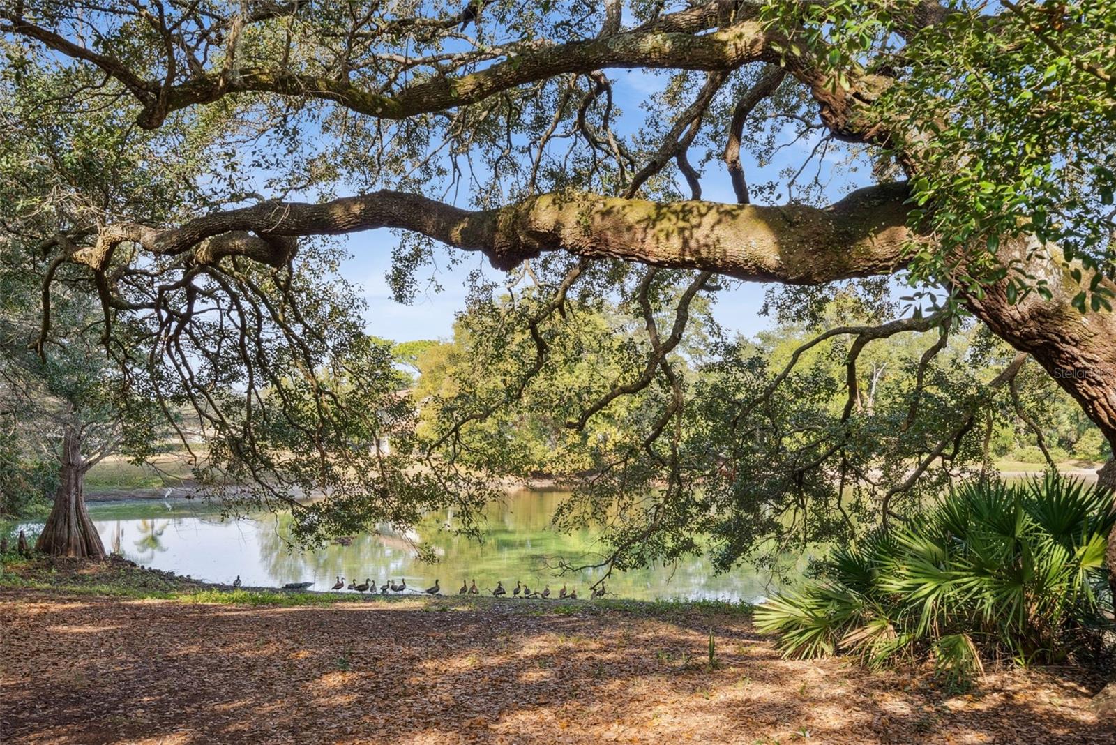 DEER RUN UNIT 14B - Residential