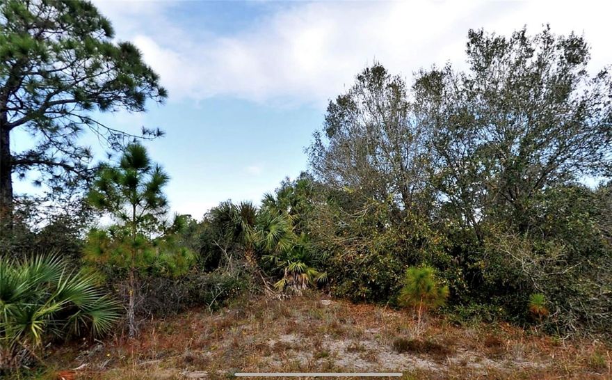Great opportunity to own your slice of peace and quiet in the serene, rural area of North Port, Florida. This vacant residential lot offers the perfect blend of privacy and convenience—just minutes from shopping, dining, schools, and I-75 for easy travel. North Port continues to be one of Florida’s fastest-growing cities, making this property an excellent choice to build your dream home or invest for the future. Enjoy the relaxed Florida lifestyle with nearby Gulf beaches, golf courses, parks, and endless outdoor recreation.