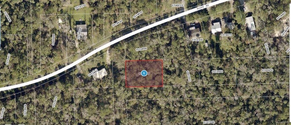 RIVER RD, ASTOR, FL 32102 - Image 242b87c583eb2c572e90d4cdee2cb347/1470414000