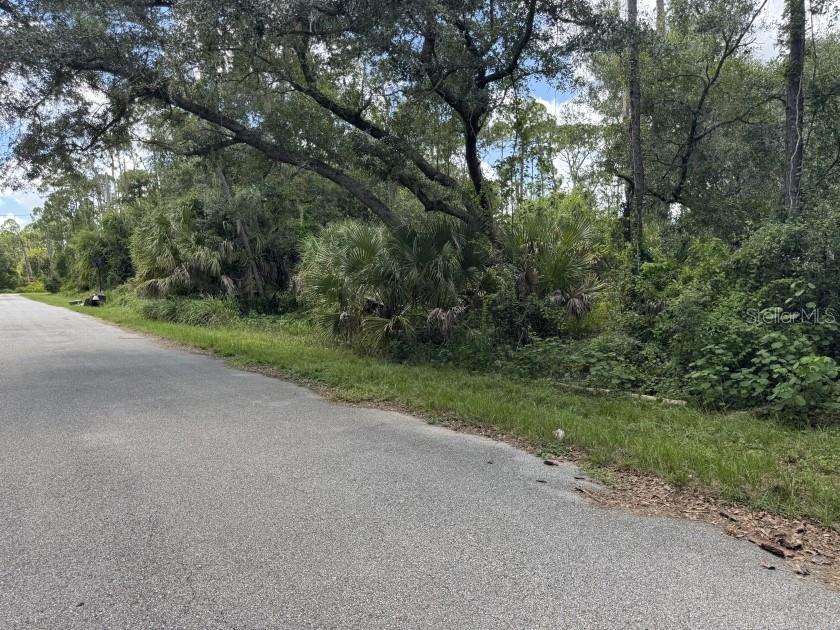 Photo of Scanlon Avenue, North Port, FL 34291 (MLS # TB8542729)