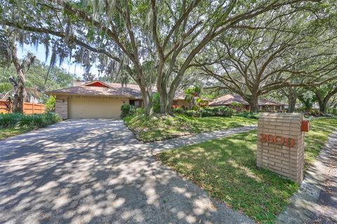 A home in VALRICO