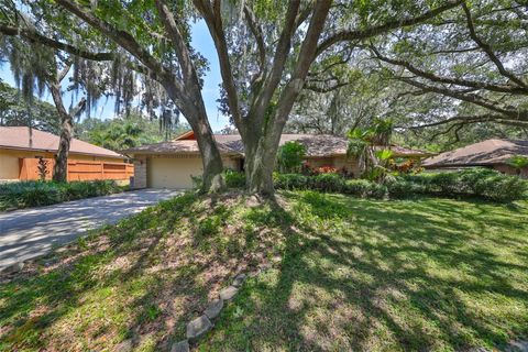 A home in VALRICO