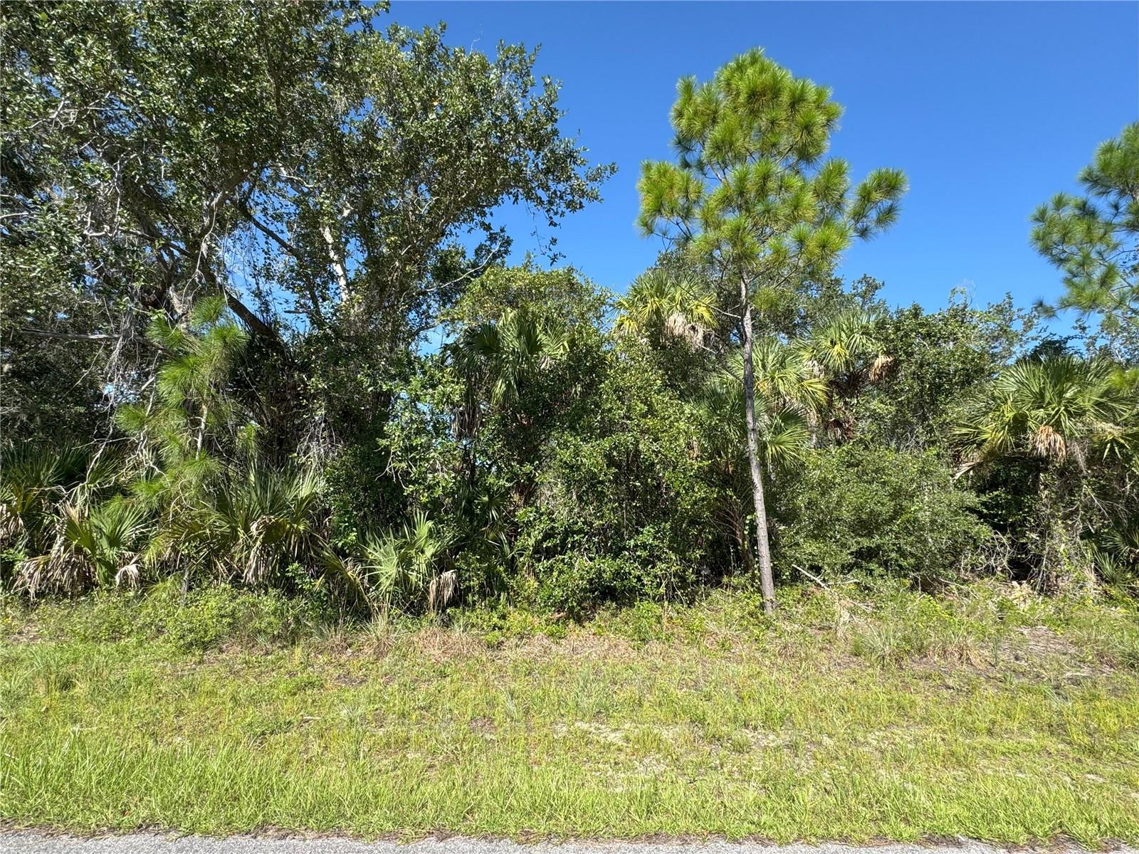 Discover the perfect opportunity to build your home on this vacant residential lot. Spanning 80 x 125 ft (9,995 sq ft / 0.23 acres), this property offers the ideal dimensions to create a custom single-family home complete with a pool and Florida-style outdoor living. Zoned RSF3.5, this lot is free from HOA fees, deed restrictions, and CDDs—giving you the freedom to design and build your perfect home without these limitations.
Set in a peaceful area of Port Charlotte with paved roads and nearby new construction, this homesite combines privacy with accessibility. Enjoy the raw beauty of Florida’s natural landscape, with mature vegetation and a tranquil setting, yet you’re still just minutes away from some of the best conveniences. Shopping, dining, schools, are in close proximity with the closest hospital within a 5 mile radius. Close to some of Southwest Florida’s most beautiful Gulf Coast beaches. Englewood Beach within 20 miles.
Whether you're a snowbird looking to secure your slice of paradise, an investor seeking value, or a future homeowner ready to break ground, this lot offers unmatched potential. Utilities will require the installation of well and septic, as is common in the area.
The seller has priced this lot to move quickly, making it an opportunity for you. Make 377 Juper Street your next homesite and enjoy Port Charlotte and the area!