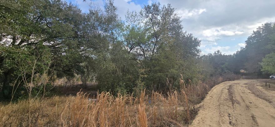 NO HOA. There’s no need to drill a well, as water service is provided by a private company that serves the community. Build or place your manufactured home on this beautifully treed 0.57-acre lot—larger than many in the area—and enjoy peaceful rural living with the extra space it offers.