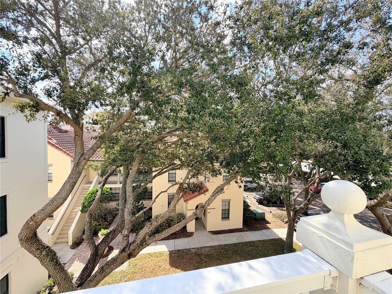 SIENA AT CELEBRATION CONDO B - Residential