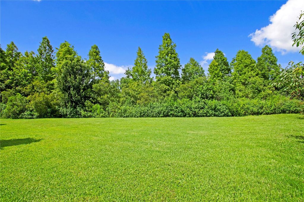 Photo of 1213 Merry Water Drive, Lutz, FL 33548 (MLS # TB8417071)