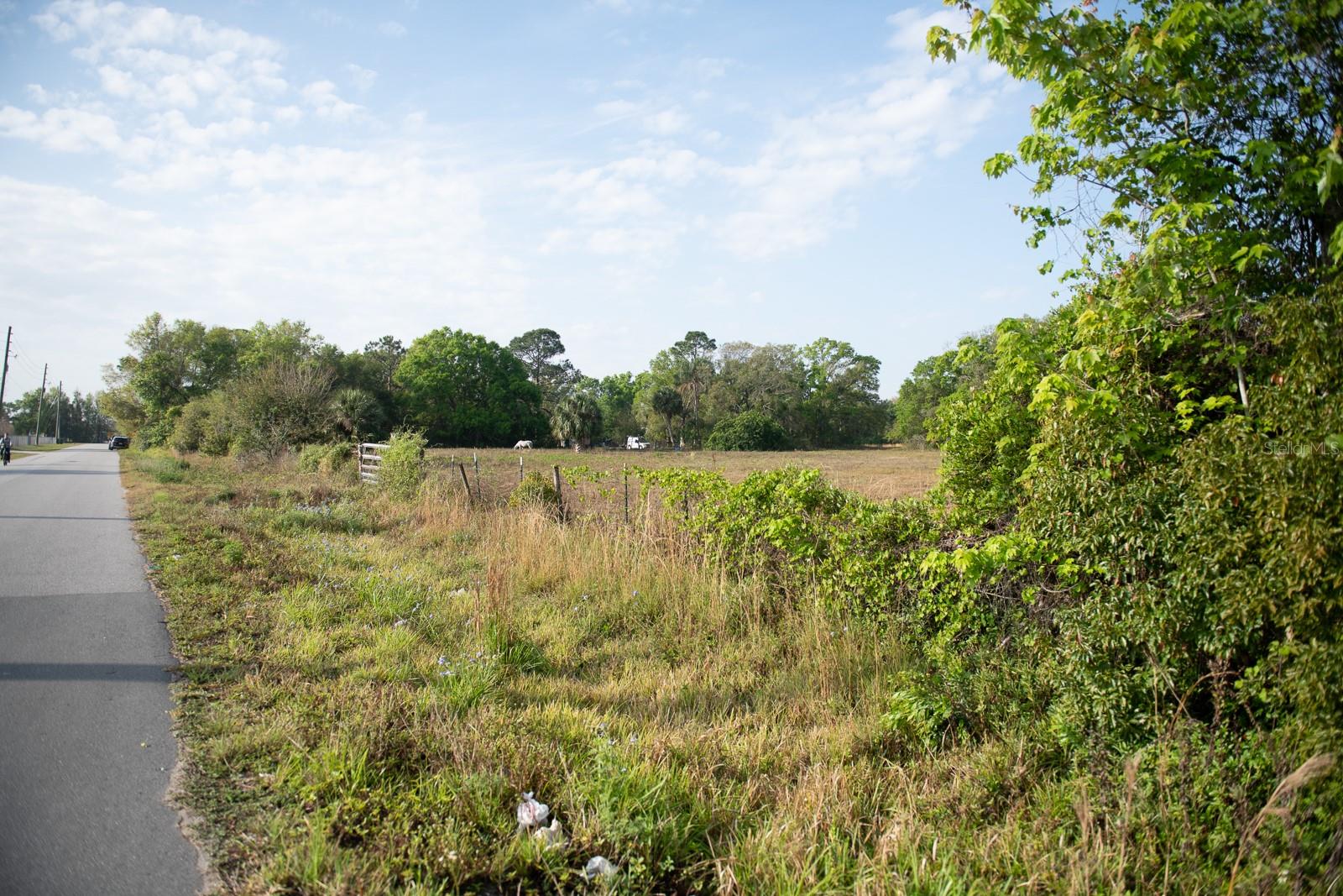 SEMINOLE LAND & INV CO - Land