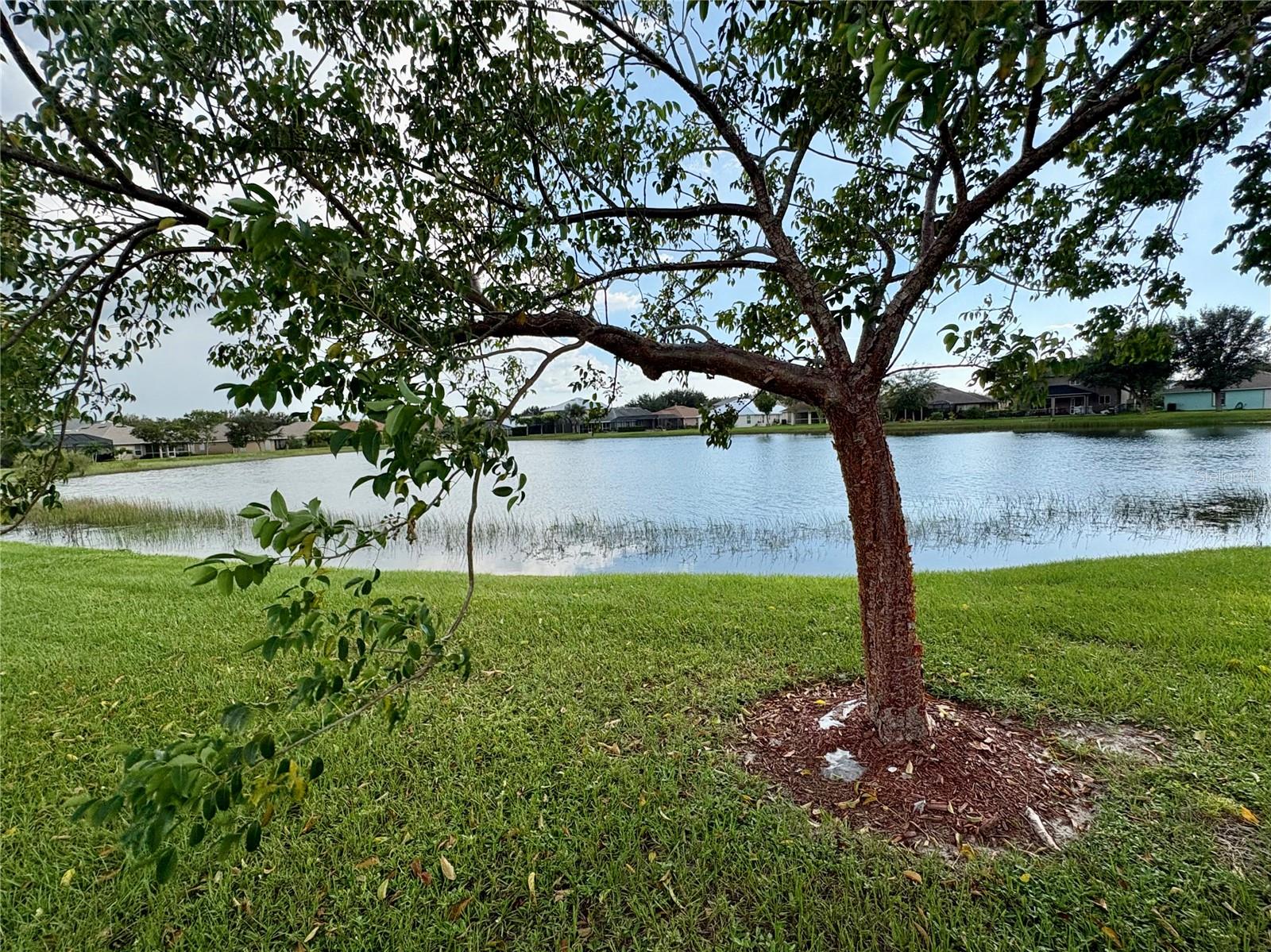 CREEKSIDE PH 2 - Residential