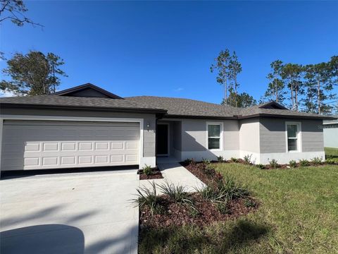 A home in PALM COAST