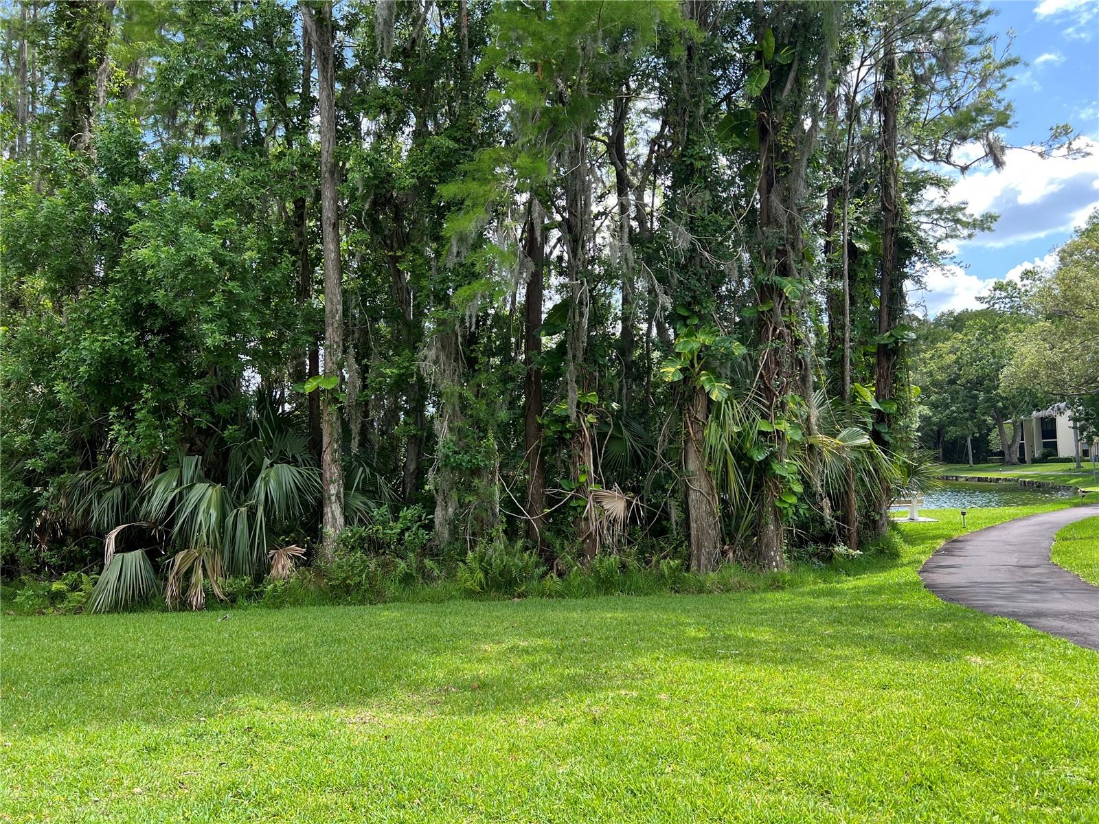 PINE RIDGE AT LAKE TARPON VILLAGE - Residential