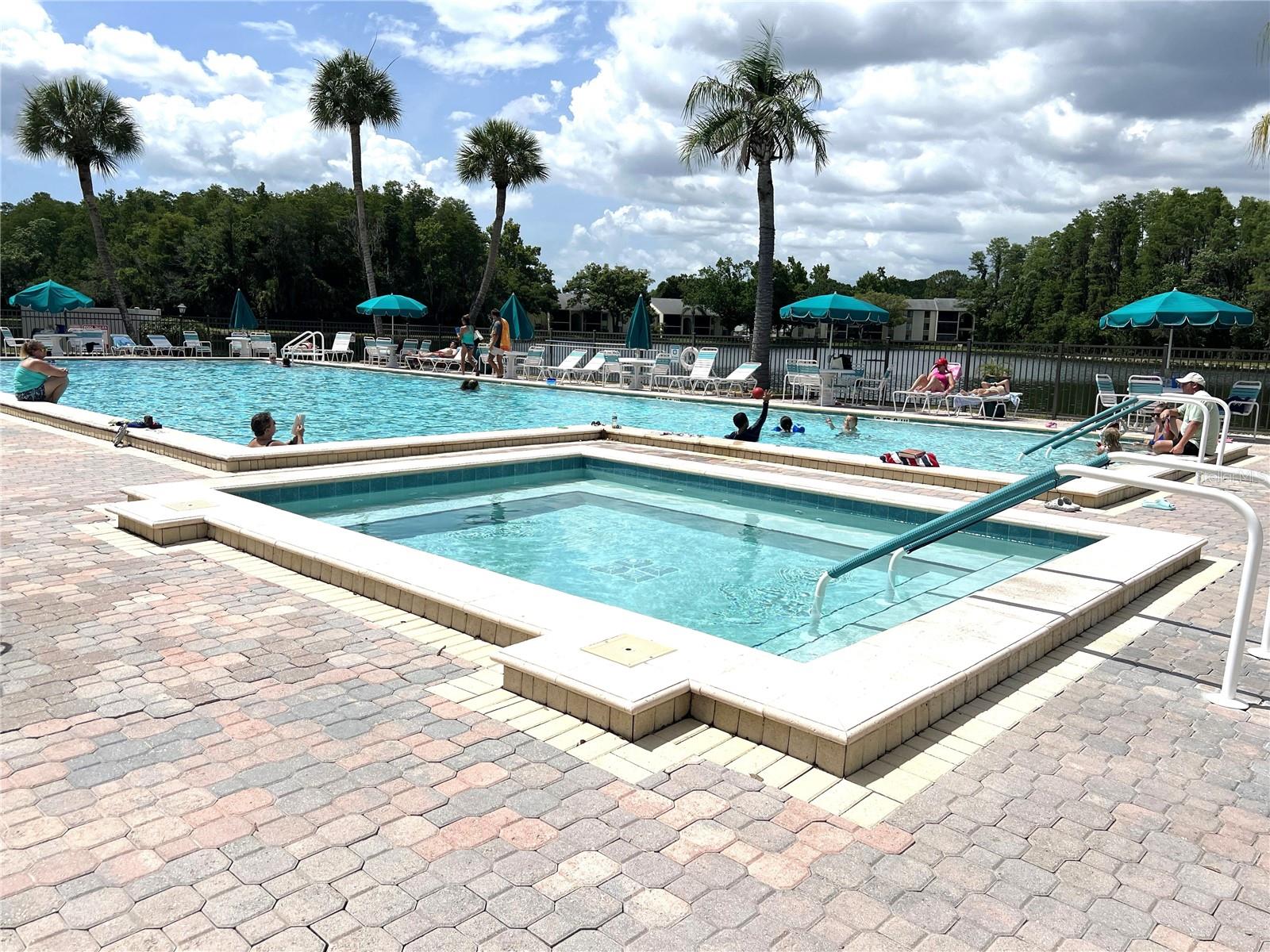 PINE RIDGE AT LAKE TARPON VILLAGE - Residential