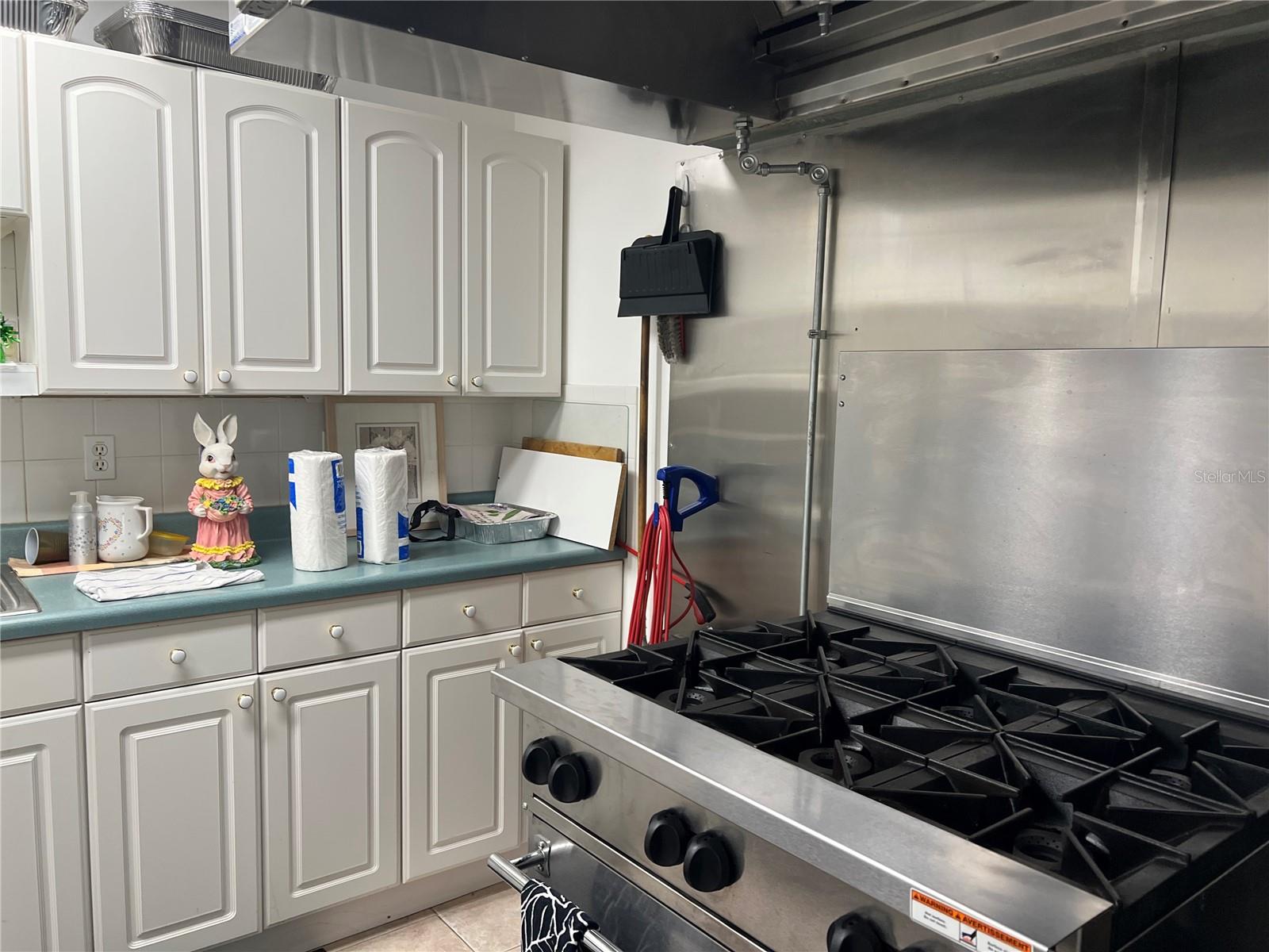 PINE RIDGE AT LAKE TARPON VILLAGE - Residential