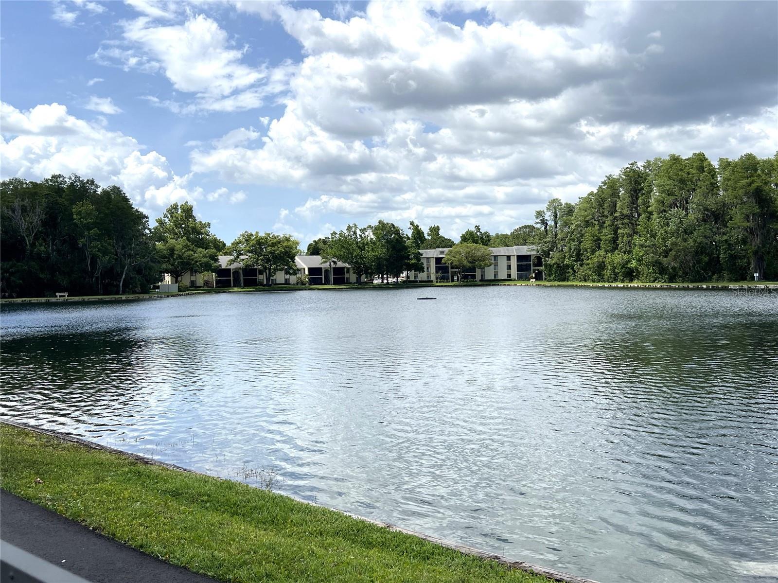 PINE RIDGE AT LAKE TARPON VILLAGE - Residential
