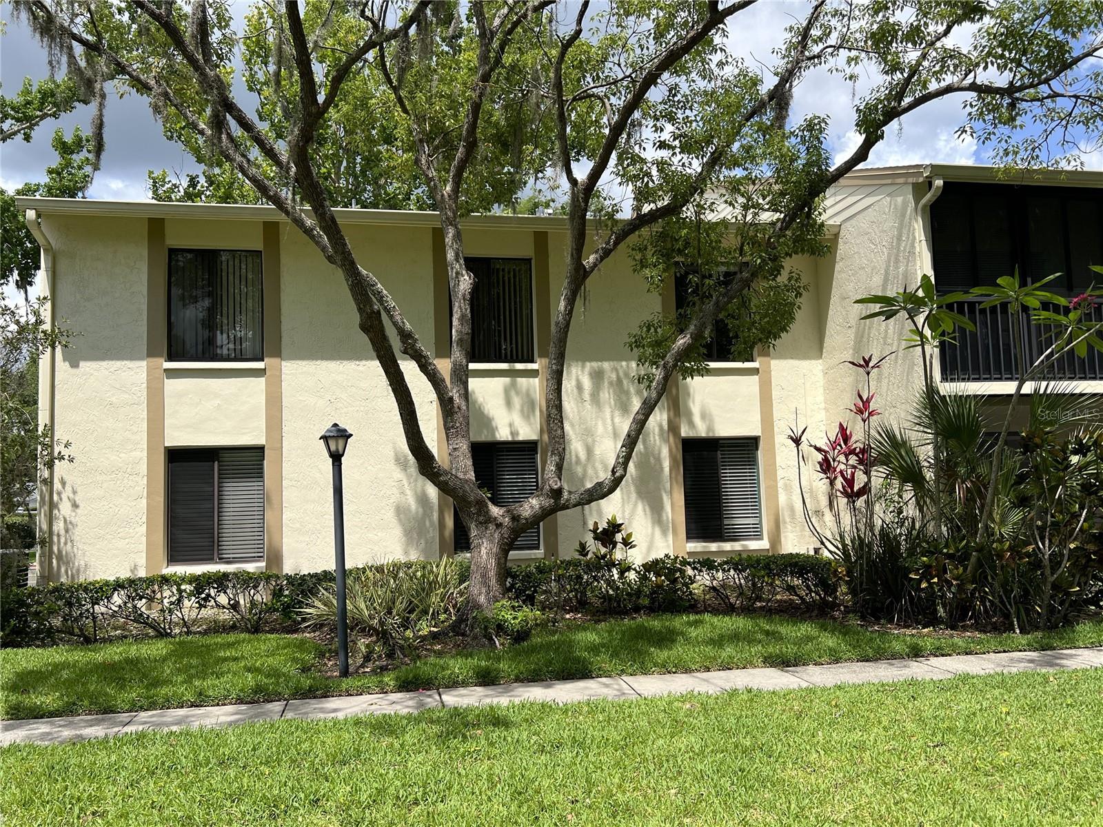 PINE RIDGE AT LAKE TARPON VILLAGE - Residential