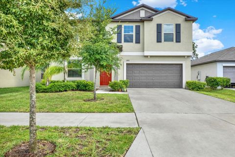 A home in RIVERVIEW