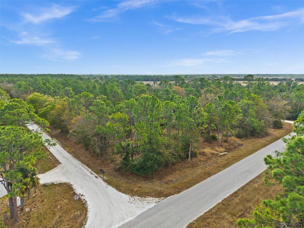 Photo of 13484 Michilin Avenue, Punta Gorda, FL 33955 (MLS # TB8478899)