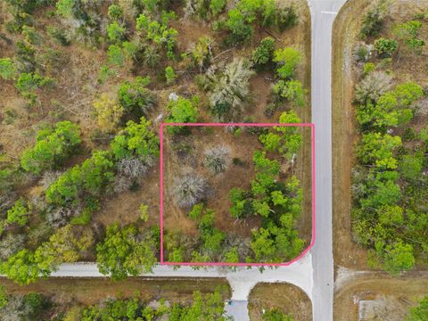 Photo of 13484 Michilin Avenue, Punta Gorda, FL 33955 (MLS # TB8478899)