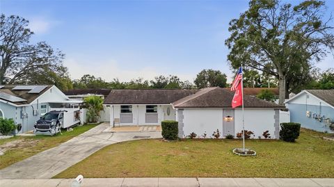 Photo of 9084 Arndale Circle, Tampa, FL 33615 (MLS # TB8466623)