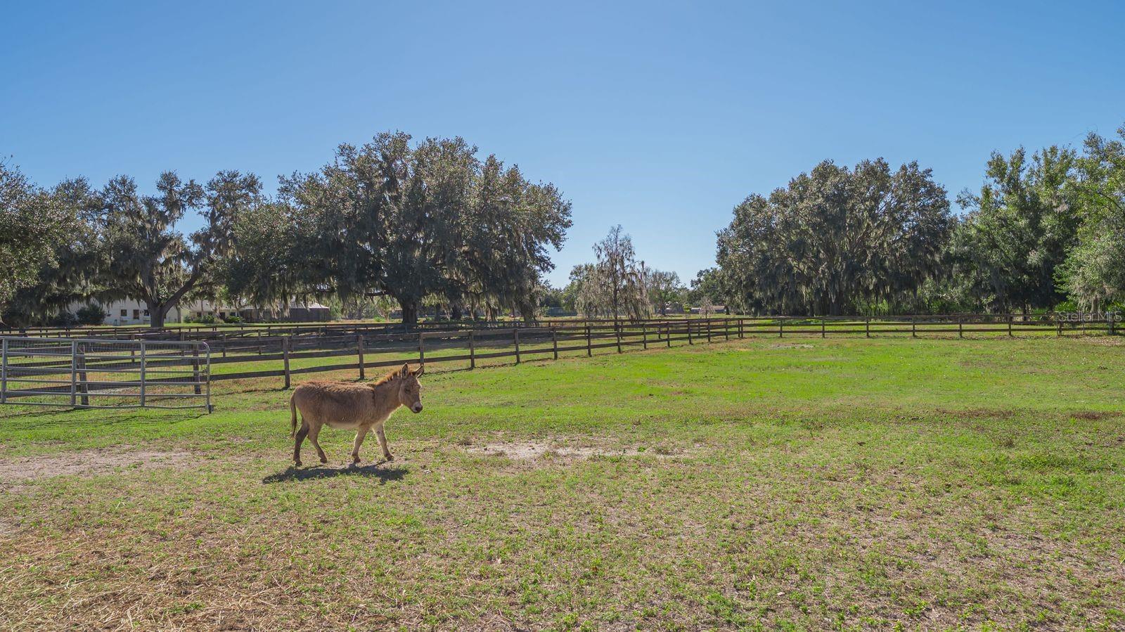 SADDLE CREEK - Residential