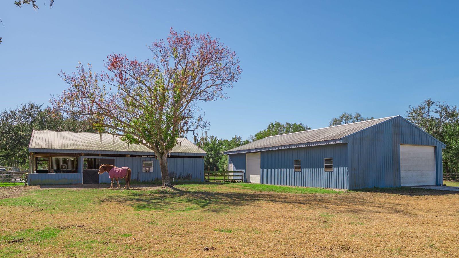 SADDLE CREEK - Residential