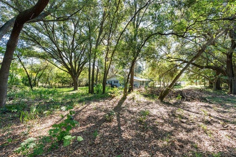 Tiny photo for 2009 Robie Avenue, Mount Dora, FL 32757 (MLS # G5104159)