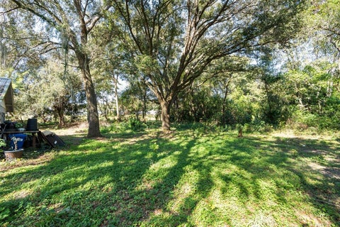 Tiny photo for 2009 Robie Avenue, Mount Dora, FL 32757 (MLS # G5104159)