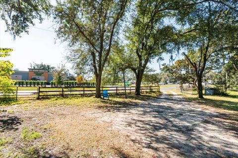 Tiny photo for 2009 Robie Avenue, Mount Dora, FL 32757 (MLS # G5104159)