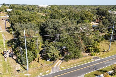 Tiny photo for 2009 Robie Avenue, Mount Dora, FL 32757 (MLS # G5104159)