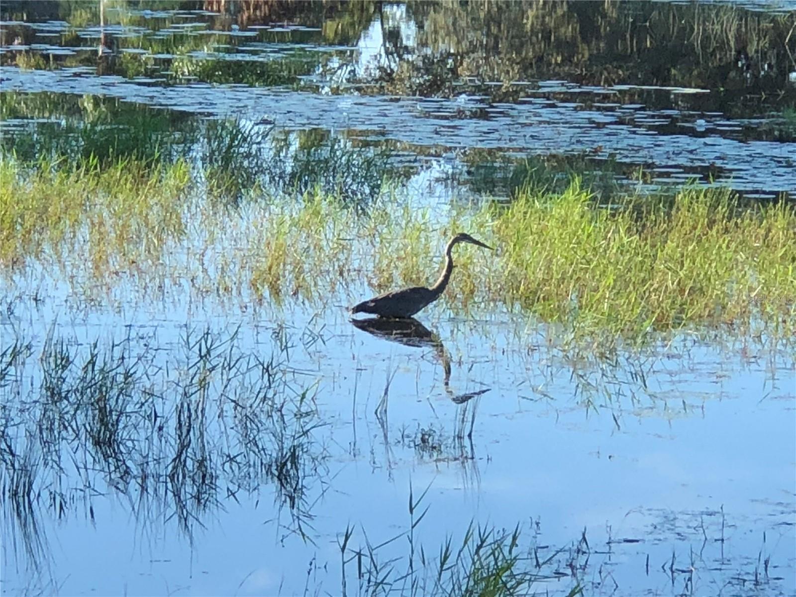 PLANTATION AT LEESBURG LONG MEADOW VILLAGE - Residential