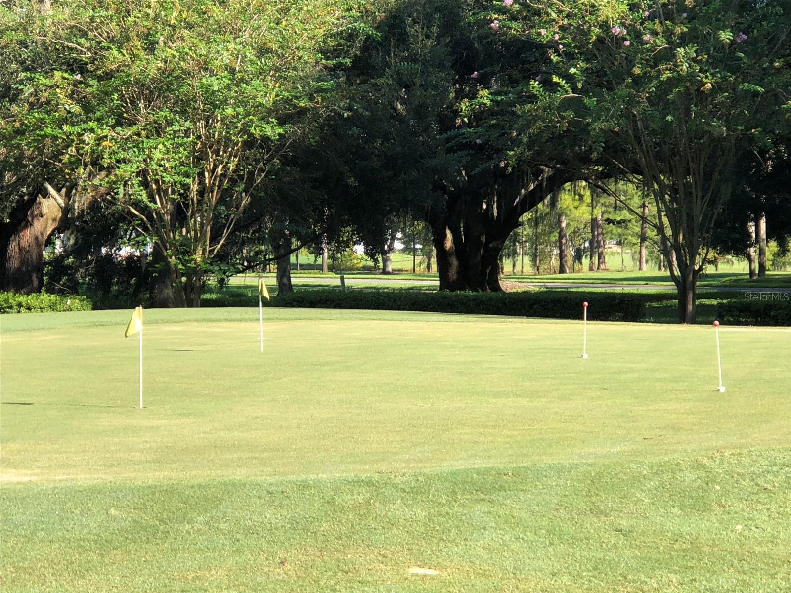 PLANTATION AT LEESBURG LONG MEADOW VILLAGE - Residential