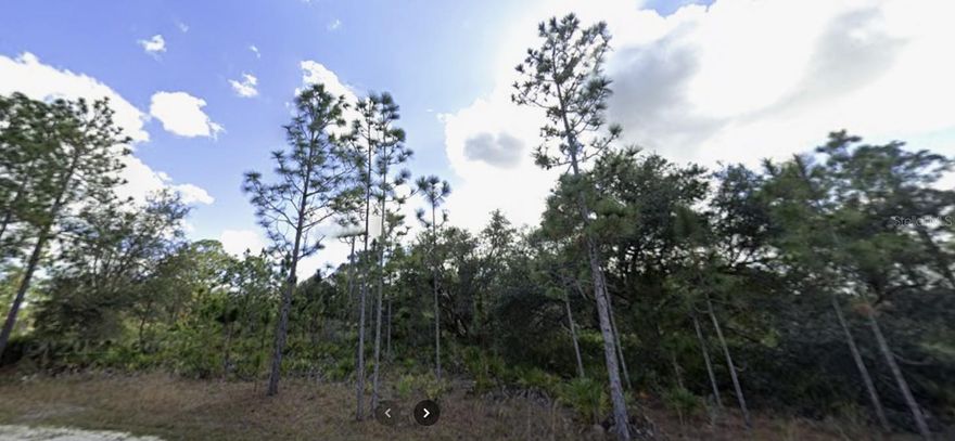 Come build your forever home on this one-half acre lot that located in the lake community of Indian Lake Estates, a golfing, fishing and boating community in the center of Florida. You can be out on Lake Walk in Water fishing in just minutes! Indian Lake Estates is about 20 miles east of Lake Wales. The community surrounds the 7,500 acre lake locally known as Lake Walk In Water, nationally known for its fishing and considered to be one of the best bass fishing lakes in all Florida. The lake has a beach, boat ramp, boat marina and the longest freshwater Fishing pier in the State of Florida. The pavilion is located at the front of the pier and is complete with propane grills and covered picnic tables. The community amenities include an 18-hole golf course, basketball and tennis courts, 23, 000 sq.ft. clubhouse, cafe, post office, churches, library, fitness room and pro shop. If you love nature and the peace and quiet of the country you're in luck. Wildlife is plentiful! You will see deer, raccoon, turkey, turtles, cranes and various species of birds that call Indian Lake Estates their home. Orlando and Disney is only about an hour's drive north and Tampa, Busch Gardens, and the Gulf's pristine beaches only a little over an hour west. Historic Bok Tower, a National Landmark, is in nearby Lake Wales. The Westgate River Ranch Resort and Rodeo is just six miles away. An authentic Florida dude ranch and full-service resort offering guests the opportunity to experience "Old Florida." Encompassing 1,700 beautiful acres, Westgate River Ranch features horseback riding, wildlife airboat and swamp buggy rides, Saturday night championship rodeo, trap/skeet range, nature hikes, petting farm, marina, Adventure Park with zip line and rock climbing wall, Westgate Smokehouse Grill and River Ranch Saloon and much more. Cowboy-themed accommodations range from ranch-themed lodge guestrooms and deluxe lodge suites to spacious cottages, two-bedroom cabins, Glamping and Luxe Teepees. Come out and see how great life can be at Indian Lake Estates! Polk County's best kept secret!