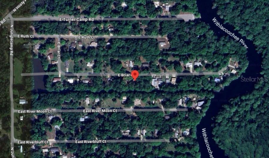 WITHLACOOCHEE RIVER SHORE 03 - Land