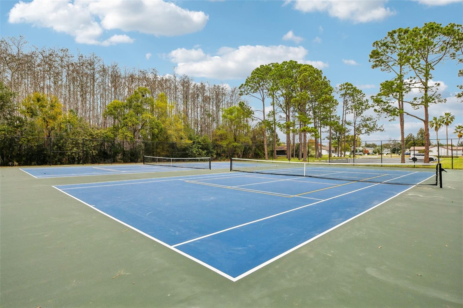 LAKE RIDGE VILLAGE - Residential