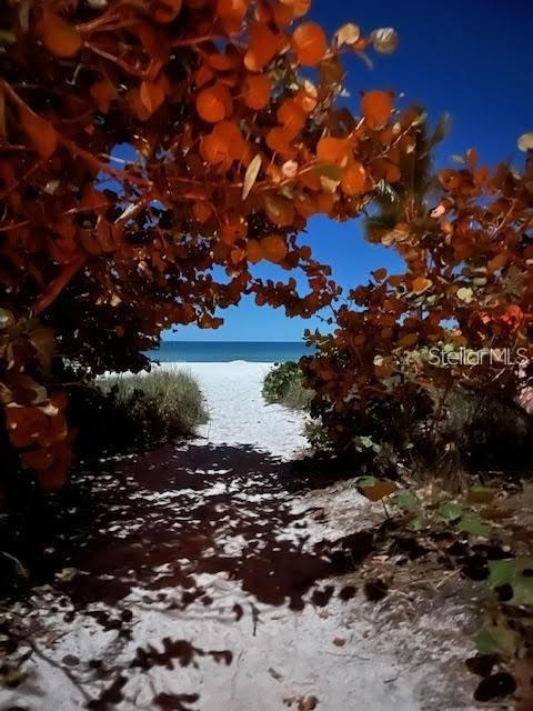 ILEXHURST - Residential