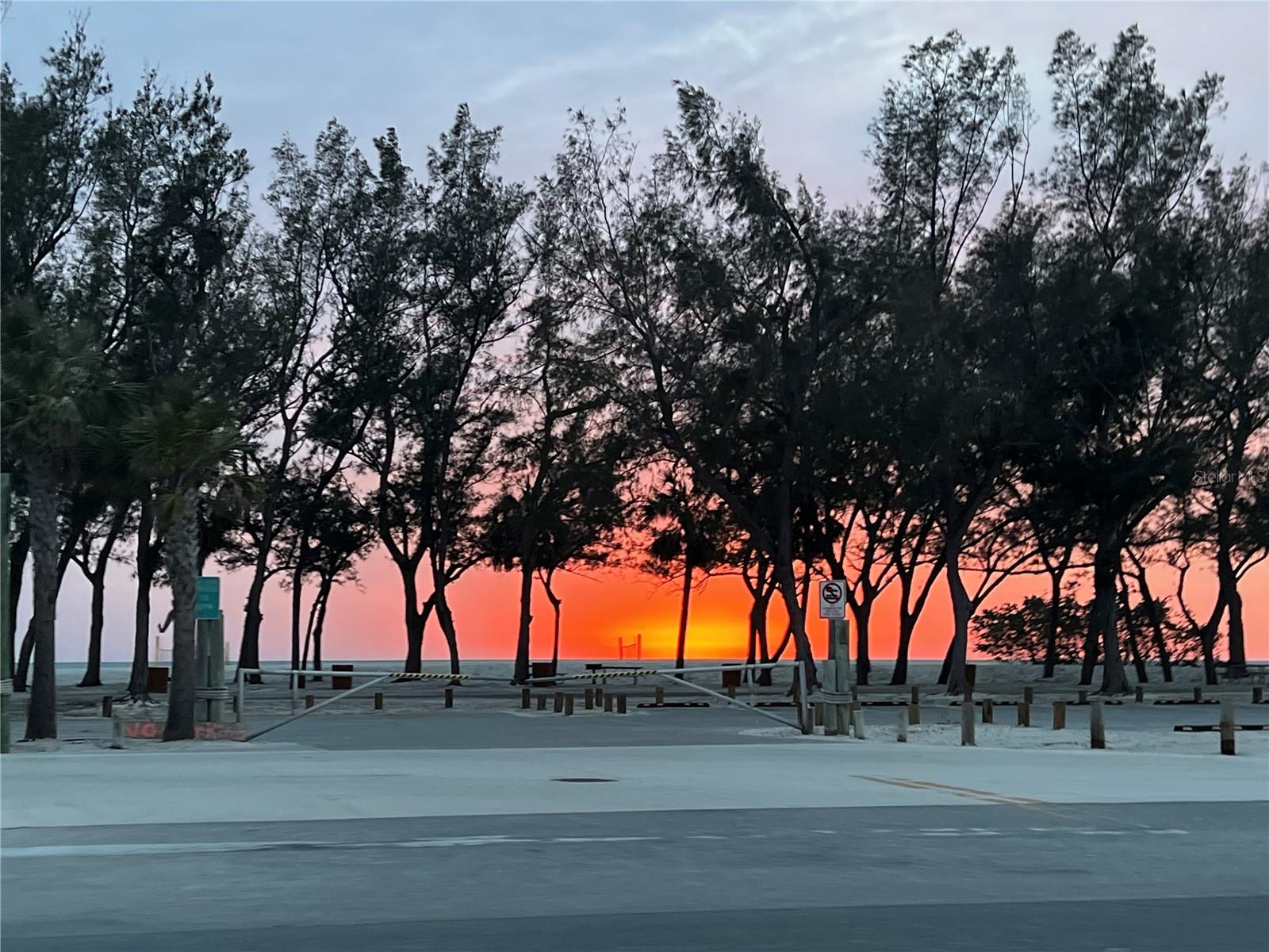 ILEXHURST - Residential